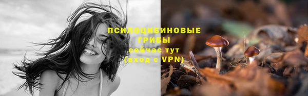 каннабис Алзамай
